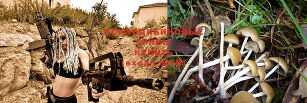 spice Богородицк